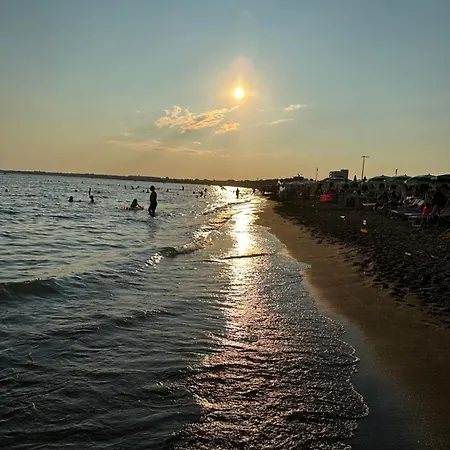 Aleksi